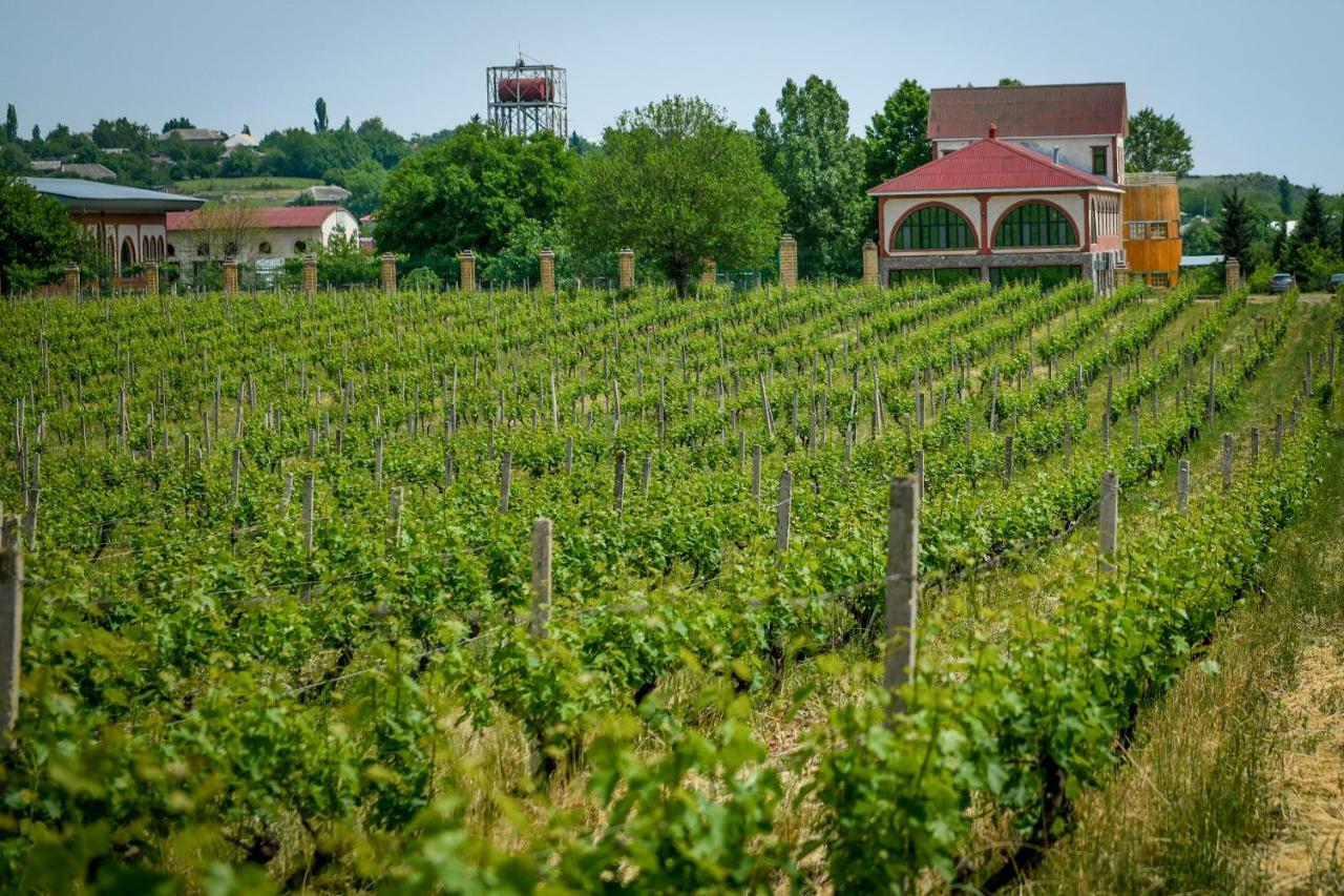 Chabiant Guesthouse Chateau Monolit Ikinci Yeniyol Zewnętrze zdjęcie